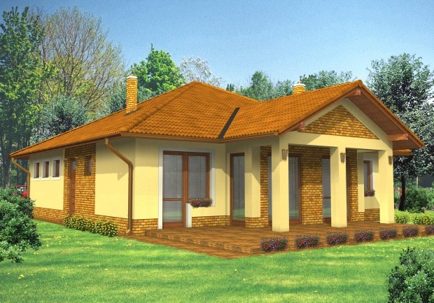 Array - perspektiva PL